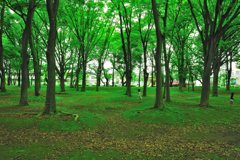 雨の日スナップ（３）