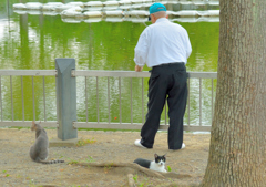 おっちゃん、はよ釣ってや～