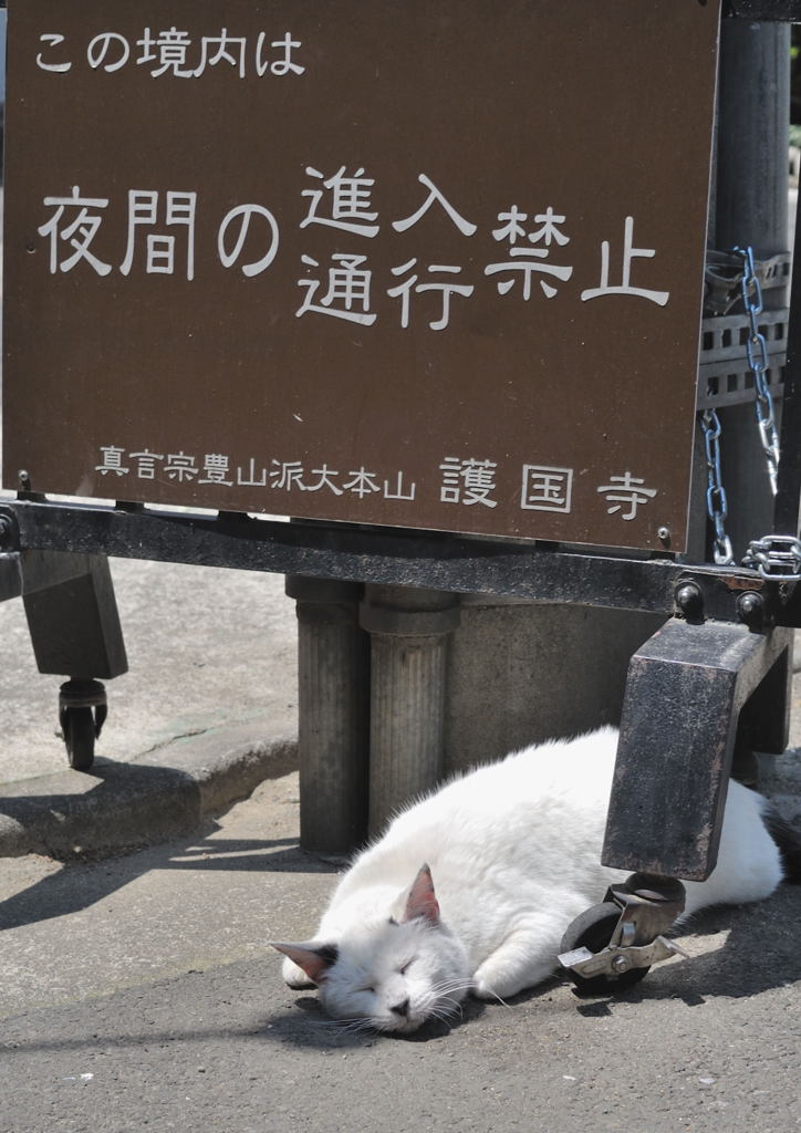 みどりの日スナップ（１）