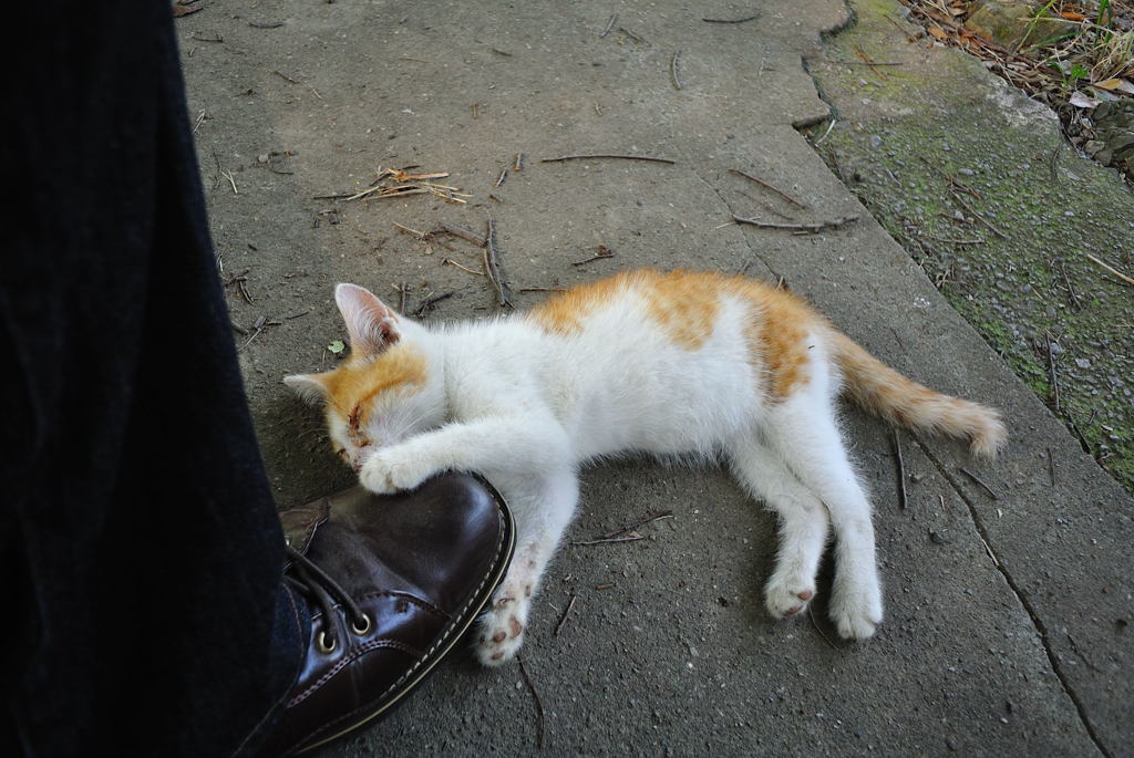 アゴのせぇ～、手のせぇ～