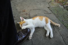 アゴのせぇ～、手のせぇ～