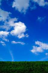 Blue Sky