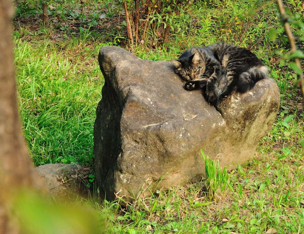 石の上にも三年？