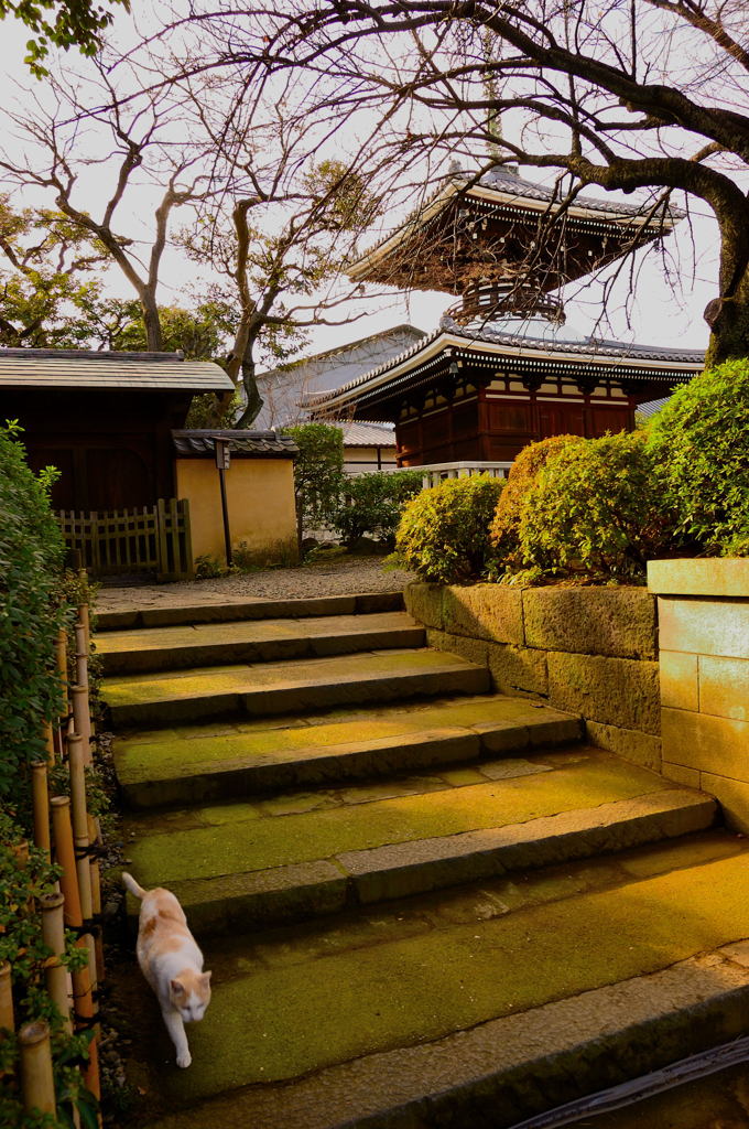 罪作りな男？？？