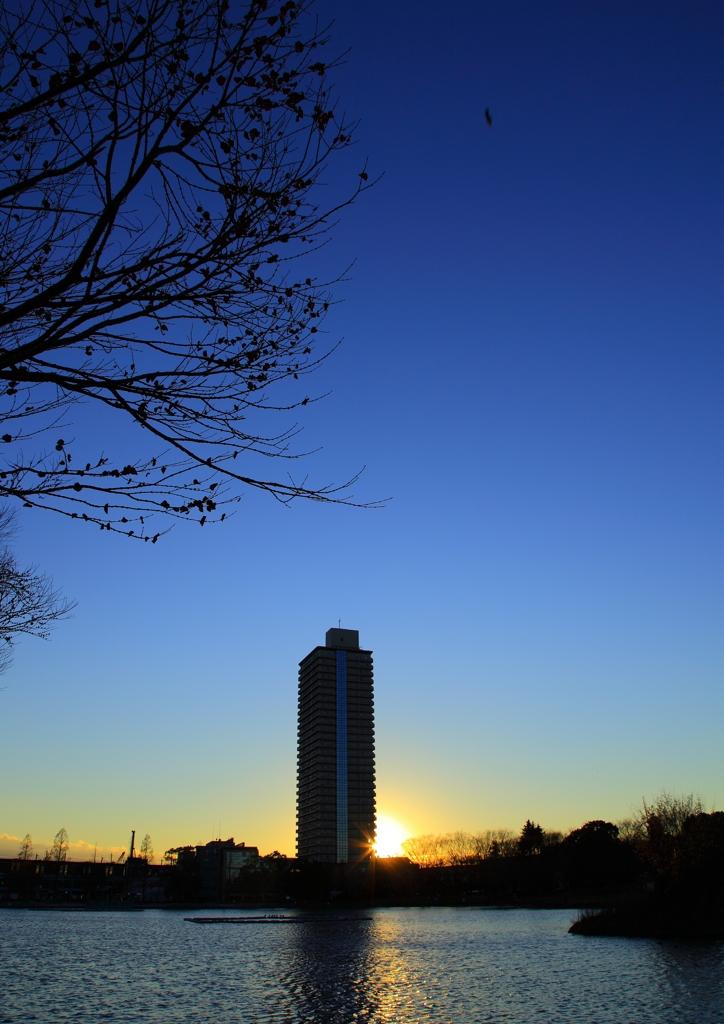 冬模様スナップ