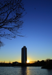 冬模様スナップ