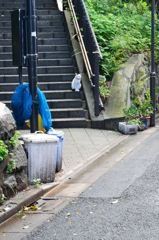 お待ち申し上げておりました(=^・^=)