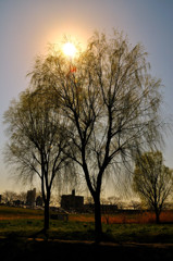 ぶらっとスナップ（１）