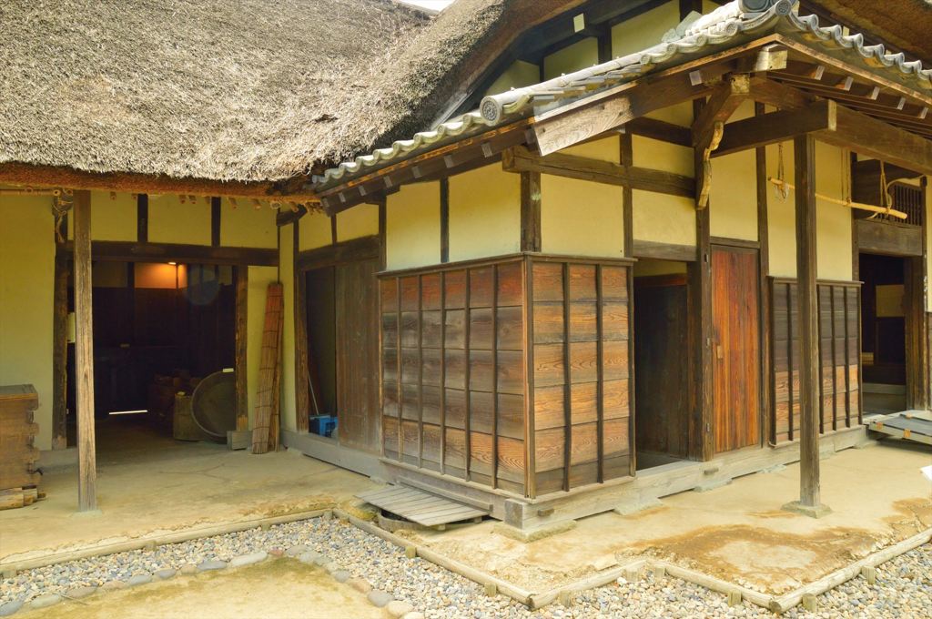 酷暑スナップ (5)