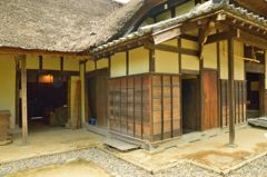 酷暑スナップ (5)