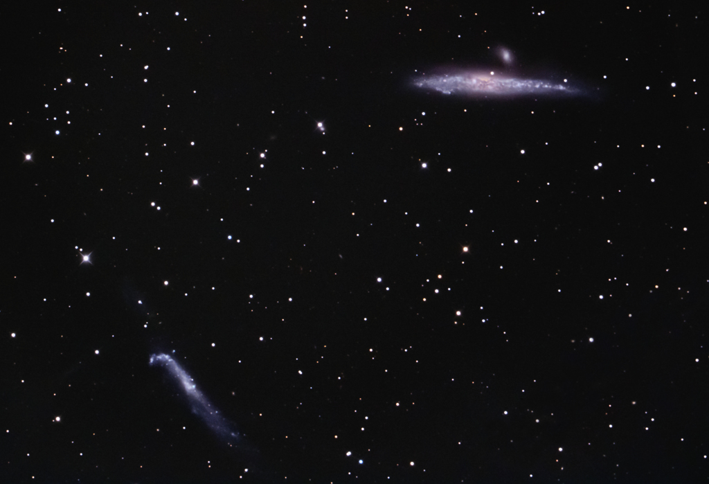 猟犬座のくじら銀河とNGC4656