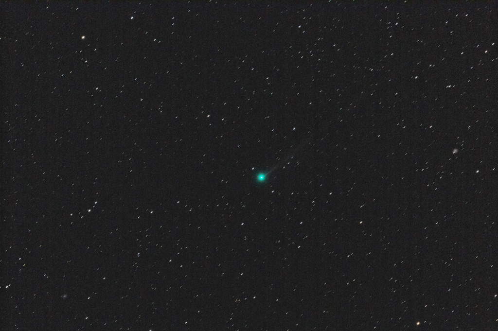 11月6日未明の彗星四態、エンケ彗星
