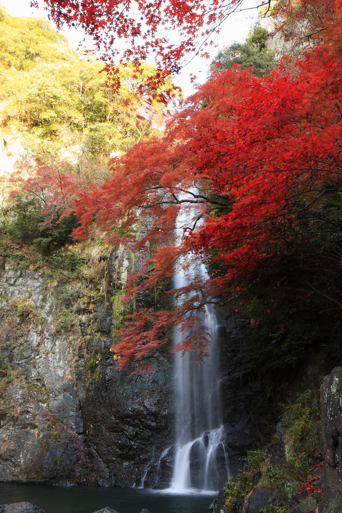 箕面の滝