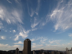 秋の空