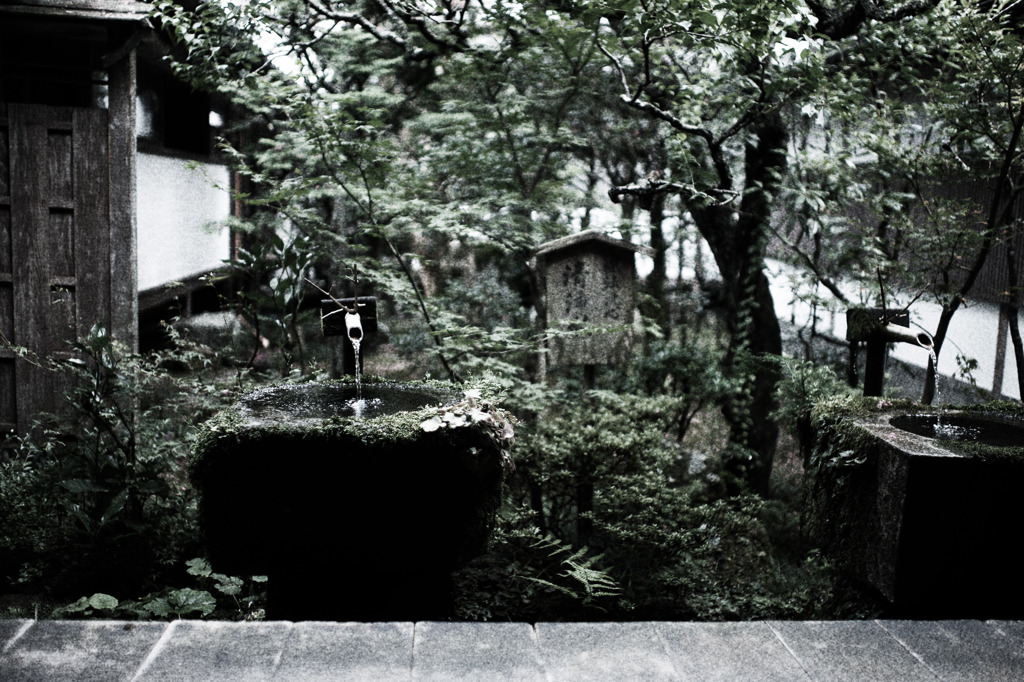photo1226561