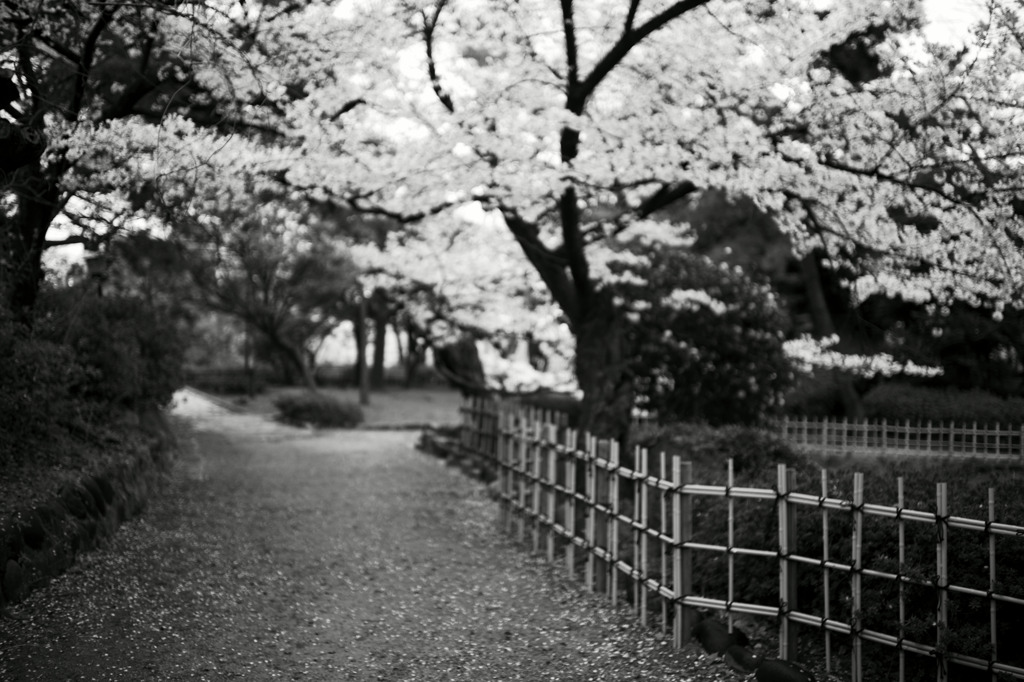 photo1161402