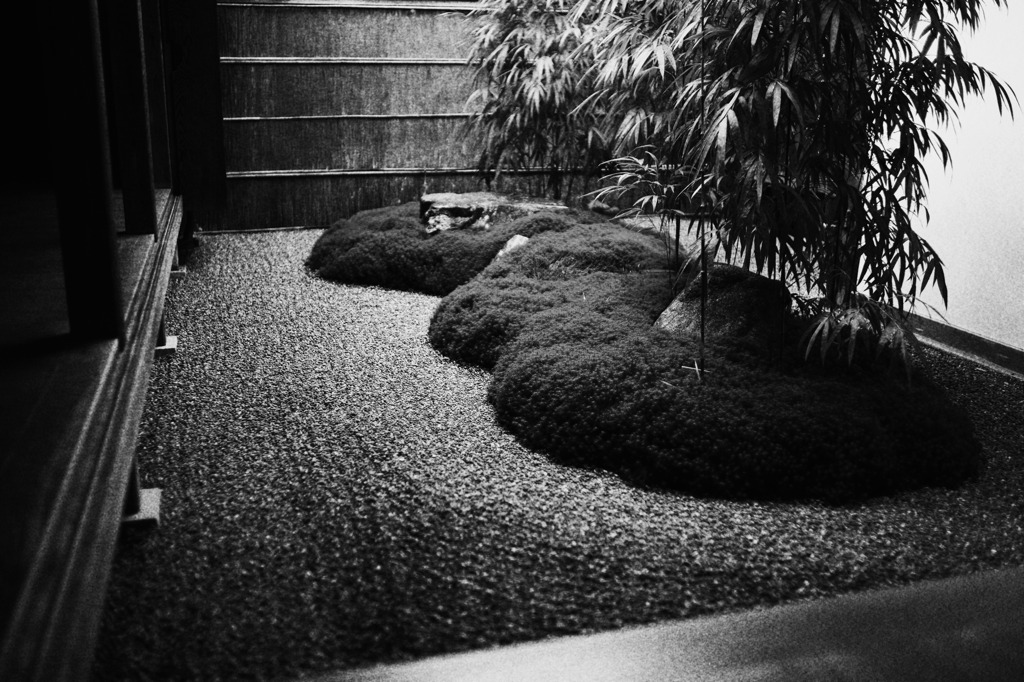 photo1226562