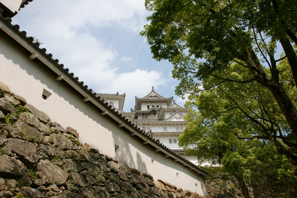 梅雨の間の晴れた日に