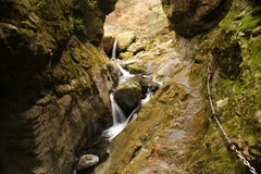DSC08180