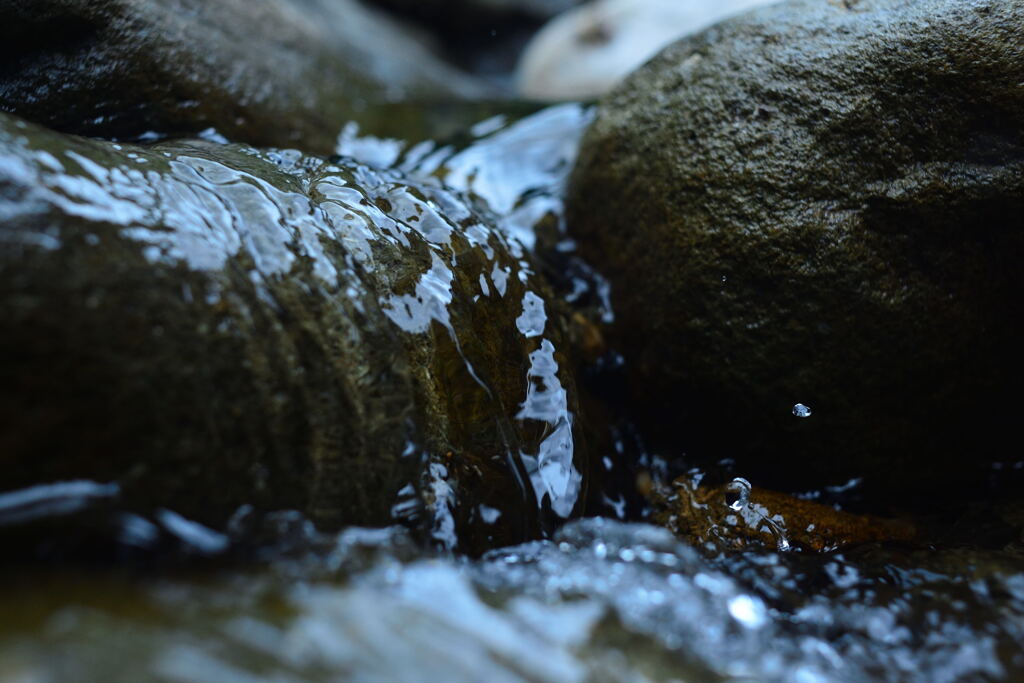 水のカタチ