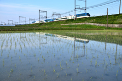 しまかぜの通り道