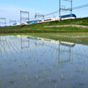 しまかぜの通り道