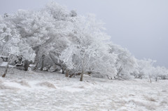 三峰山　霧氷