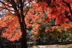 長瀬国津神社