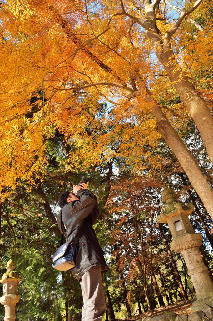 紅葉ハンター
