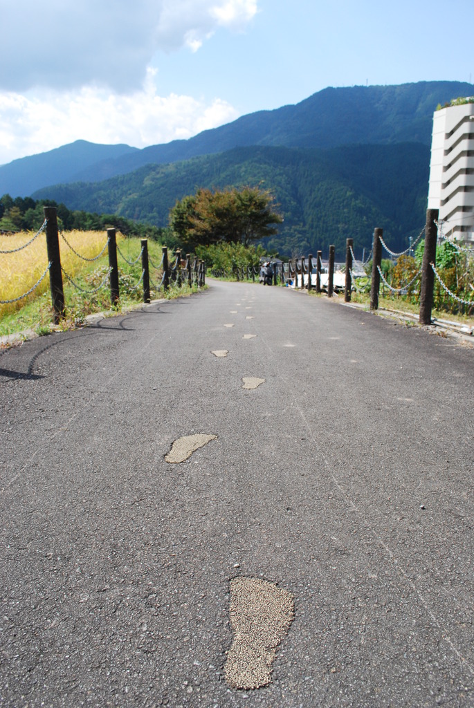 迷わず行けよ、行けばわかるさ