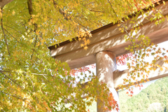 長瀬国津神社
