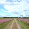 road to sky