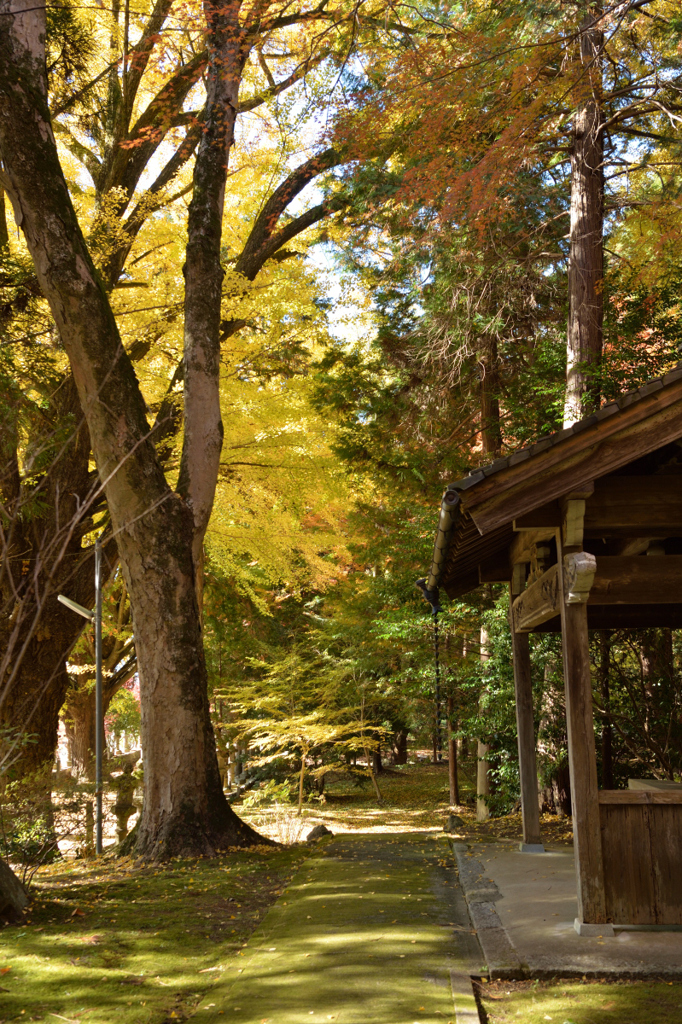 積田神社