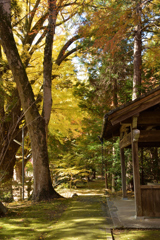 積田神社
