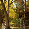 積田神社