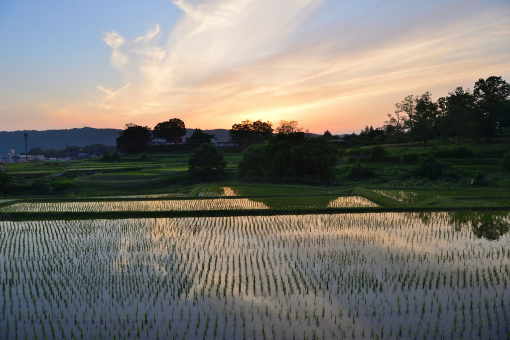 今日の夕景
