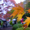 雨の日を楽しむ