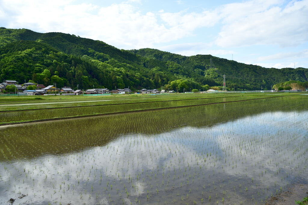 田園風景