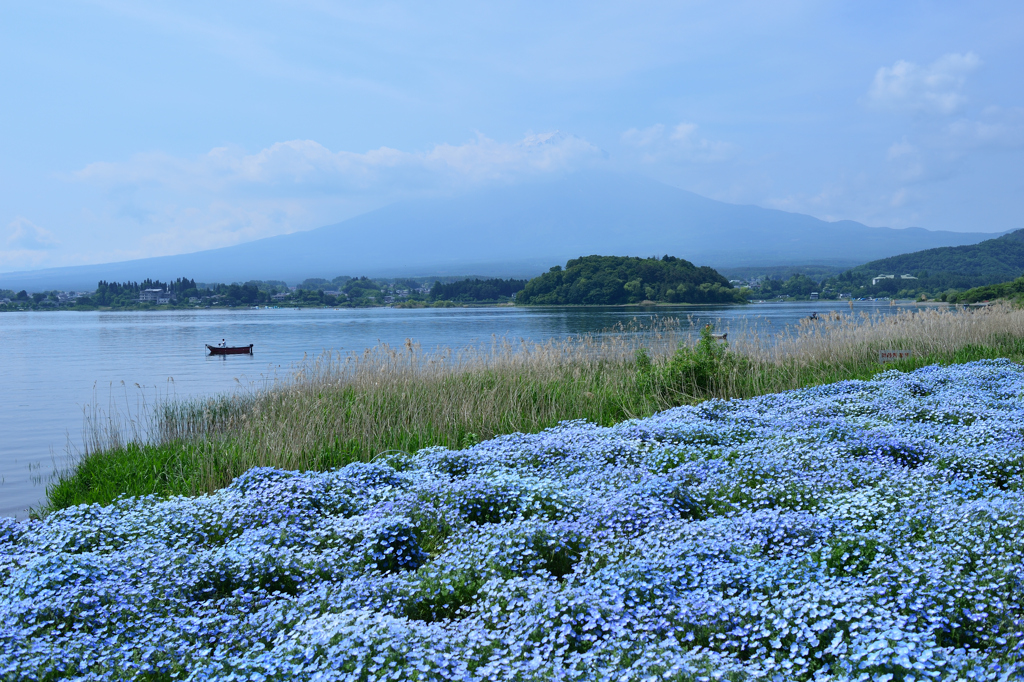 fuji