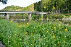 橋のある風景