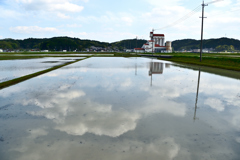 空と田んぼと