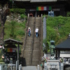 巡る