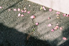 名張　05