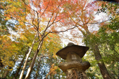 積田神社