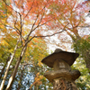 積田神社