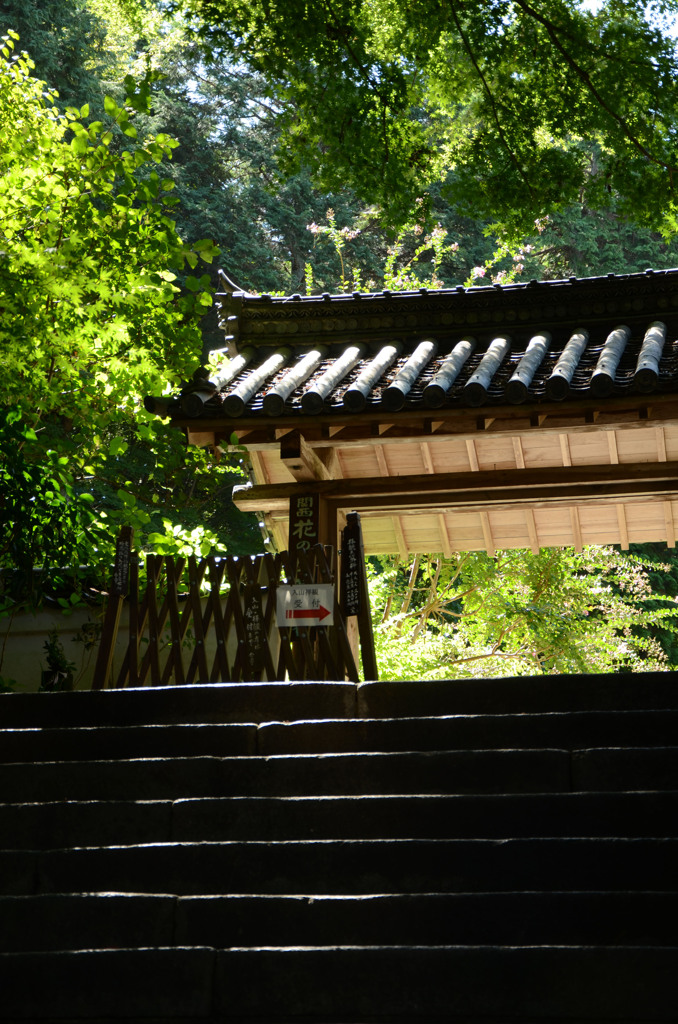 日差し