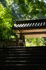 日差し