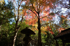 積田神社