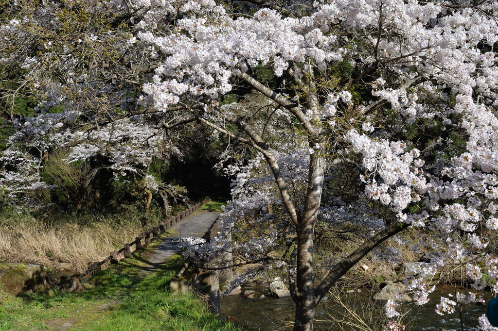 山添村