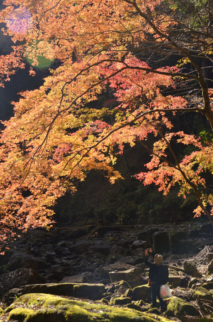 赤目渓谷の秋